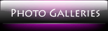 Photo Galleries
